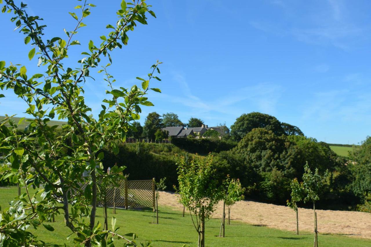 Kerswell Farmhouse Totnes Kültér fotó